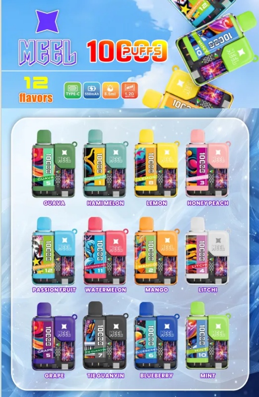 拋棄式電子煙 MEEL拋棄式10000口 2025新品 現貨